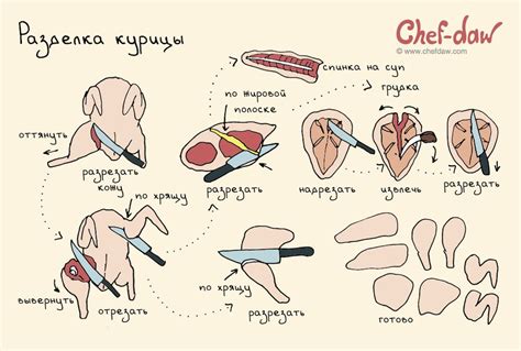Разделка курицы | Cooking classes for kids, Food advice, How to cook steak
