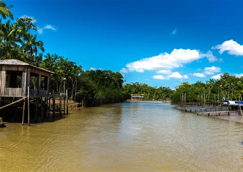 O Que Acontece Na Ilha De Marajó - Ilha de Marajó, Curiosidades, Como Chegar, Melhor Época [Guia de viagem]