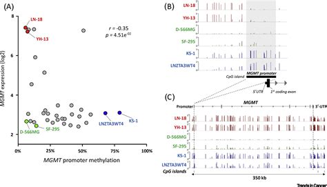 Mgmt Status As A Clinical Biomarker In Glioblastoma Trends In Cancer