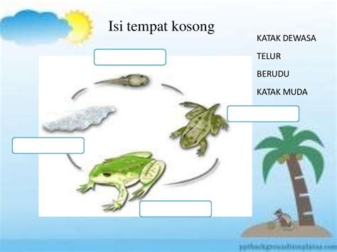 Latihan Kitaran Hidup Haiwan