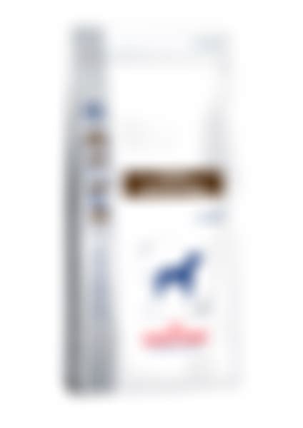 Royal Canin Gastrointestinal,сухой диетический корм для взрослых собак ...