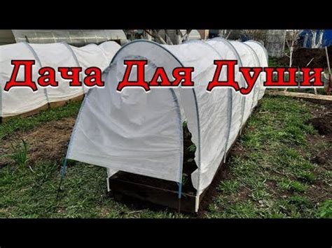 ПАРНИК на грядке СВОИМИ РУКАМИ👍👍👍 - YouTube