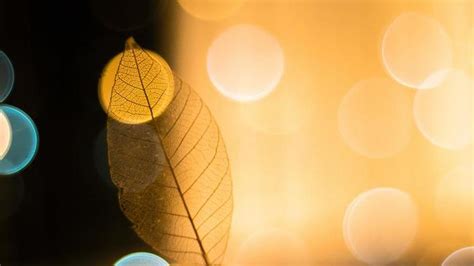 backgrounds stock  images  backgrounds