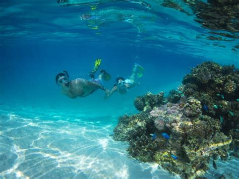 The Best Snorkelling In The Cook Islands Top 10 Places To Snorkel