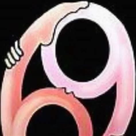 Amateur Chinese Shemale Fucked XHamster