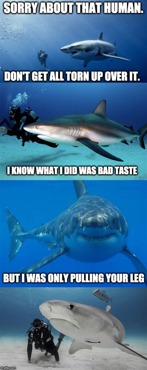 Shark Puns Everywhere Imgflip