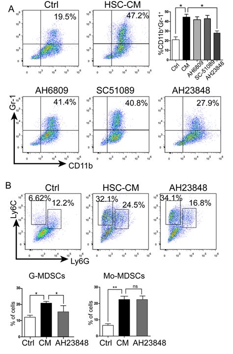 Hscs Promoted Mdsc Accumulation Via The Ep4 Receptor A Effect Of Ep