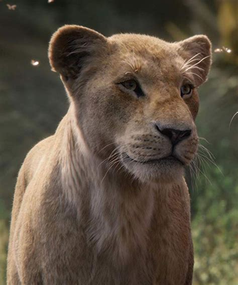 The New Lion King Empowers Female Characters