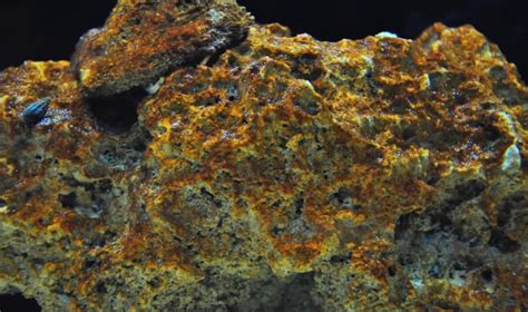 Как избавиться от бурых водорослей в аквариуме: фото, видео