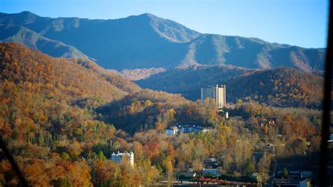 Murfreesboro, TN Vacation Rentals: house rentals & more | Vrbo