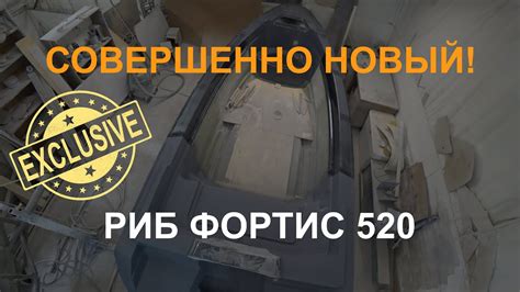 Эксклюзив! НОВАЯ модель Риб Фортис 520 - YouTube
