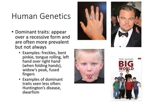 Recessive Gene Examples