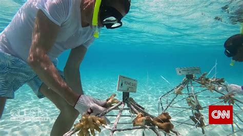 At the mercy of the sea in one of the lowest countries on Earth | CNN