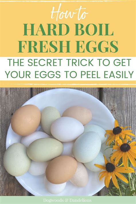 The Easy Way To Peel Farm Fresh Hard Boiled Eggs Artofit