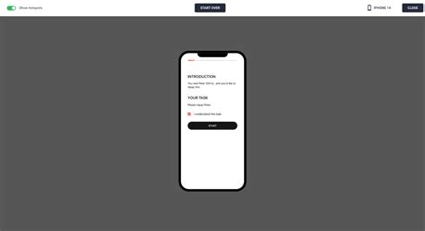 preview prototype  test