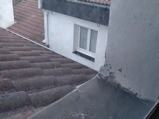 他把鸡巴放进电梯上到邻居的小屋在窗户上射精 Pornhub Gay