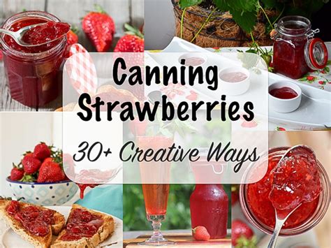 Canning Strawberries 30 Creative Recipes — Practical Self Reliance