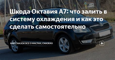 Шкода Октавия А7: что залить в систему охлаждения и как это сделать ...