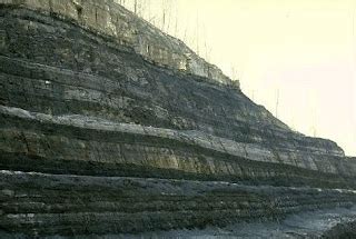 Veritas Logos: The Flood and the Formation of Coal Beds