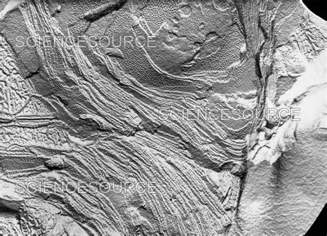 Photograph | Chloroplast Membranes in Leaf Cell, TE | Science Source Images