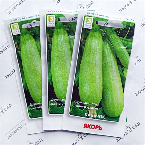 Кабачок Якорь - купить семена с доставкой по Росии