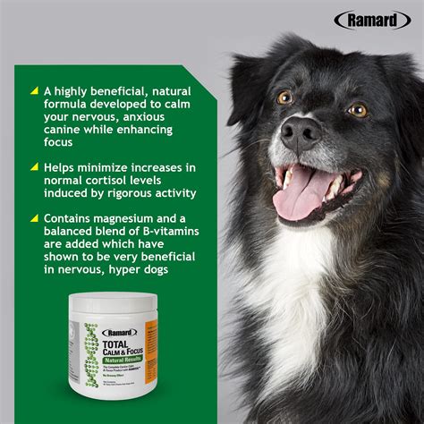 How Much Magnesium Does A Dog Need