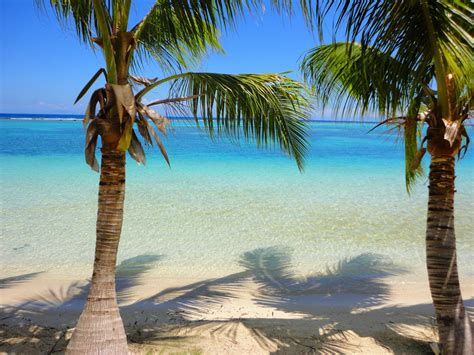 Картинки карибы: фото, изображения и картинки