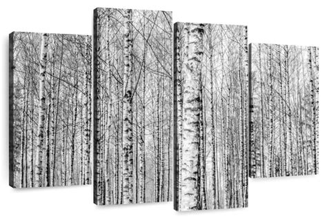 Lark Manor Harnek Naked Birch Forest Wayfair