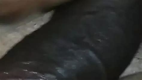 Anal Z Kolezanka XHamster