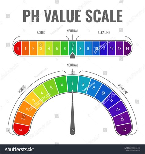 Ph Alkaline Acidic Scale Indicator Water Stock Illustration 1504952498 ...
