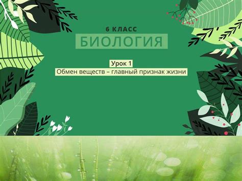 Презентация по биологии на тему _Обмен веществ у растений_ (6 класс ...