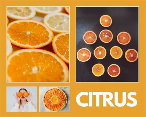 Pure Hoarder - Secret Health Benefits Of Citrus Fruits,... | Facebook