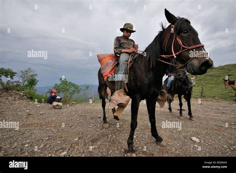 Young rider, Esteli, Nicaragua, Central America Stock Photo - Alamy