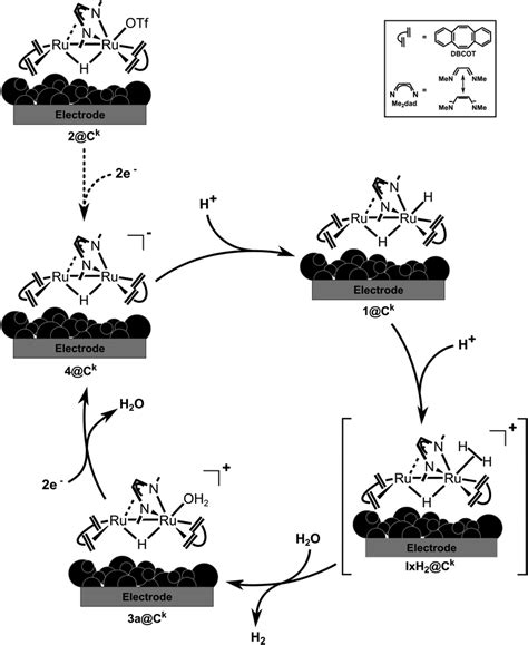 Proposed Mechanism For Hydrogen Evolution Reaction By Water