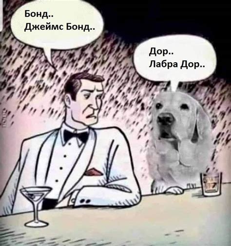 Лабра Дор | Пикабу