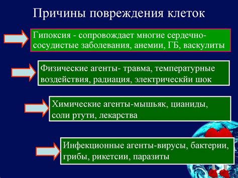 Патологическая анатомия - online presentation