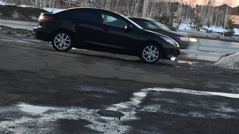 Замена задних подкрылок — Mazda 3 (2G) BL, 1,6 л, 2010 года | запчасти ...