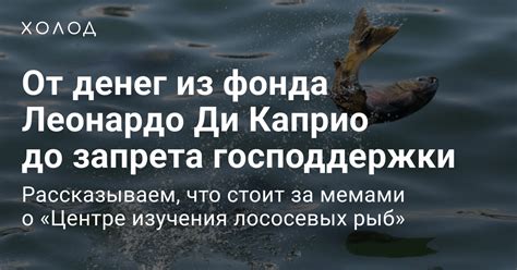 Что такое «Центр изучения лососевых»? – «Холод»