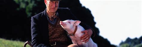 Babe 1995 30th Anniversary KINO