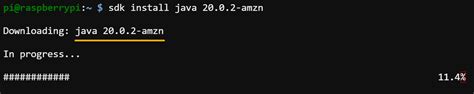 Java on Raspberry Pi : Learn How to Install