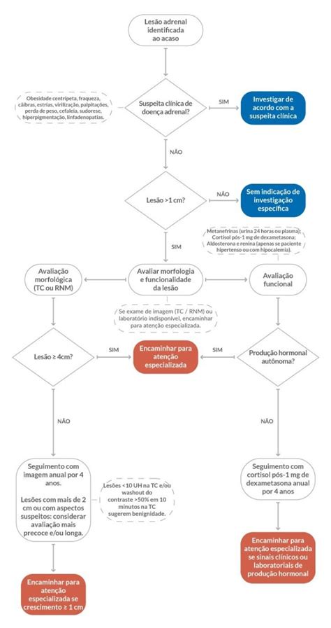 incidentaloma TelessaúdeRS UFRGS