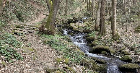 Rw v Marbach in Steinbachklamm u a Nibelungengauweg zurück