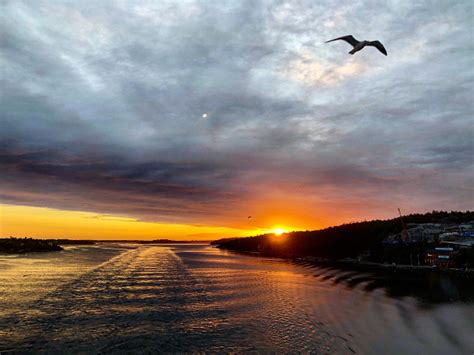 Tre Giorni A Helsinki Cosa Vedere E Dove Mangiare Nella Capitale