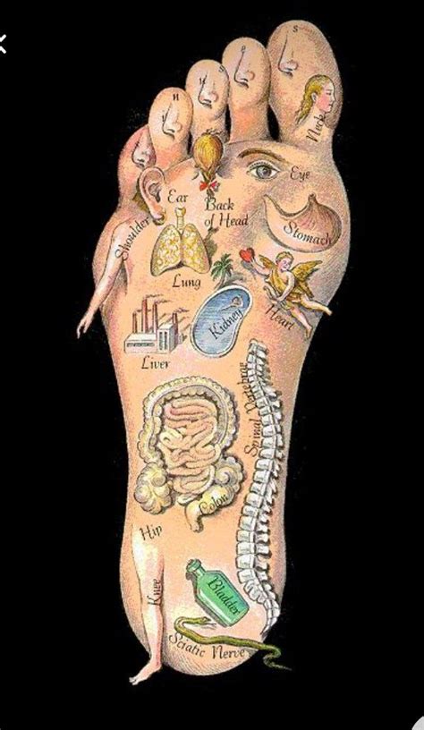 Reflexology Foot Chart Foot Reflexology Massage Reflexology Headache