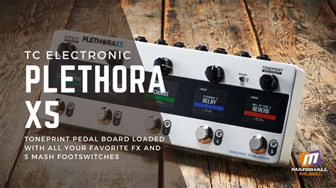 TC Electronic - Plethora X5 - Marshall Music