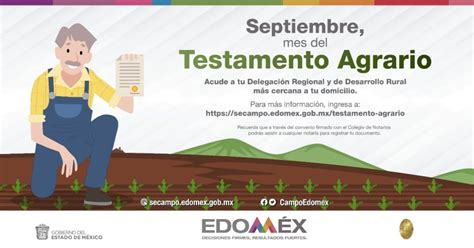 Requisitos Y Cómo Hacer Un Testamento En El Edomex 2021 Datanoticias
