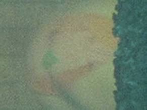 Hostel Part Ii Nude Scenes Aznude