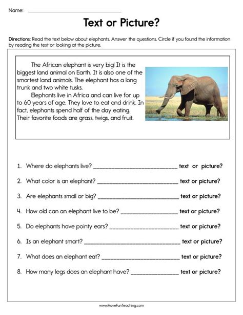 Second Grade Text Feature Activities Pdf