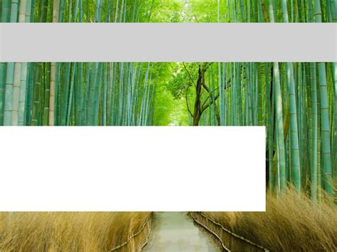 Презентация на тему: Федеральное государственное автономное ...