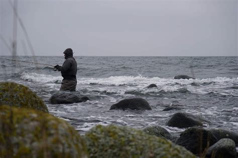 Fiskedagbog Dk Sters En Giver Sters En Tar Og I Dag